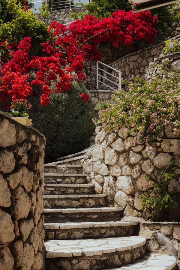 Sea Mansion Lefkada Apartment Nikiana Luaran gambar